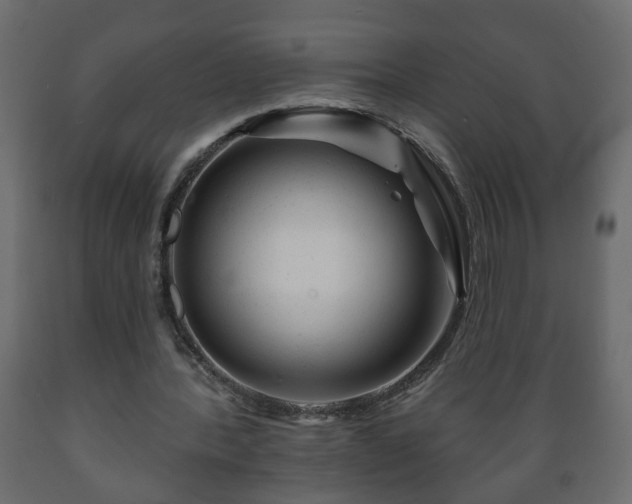 X0000089910388200707061003