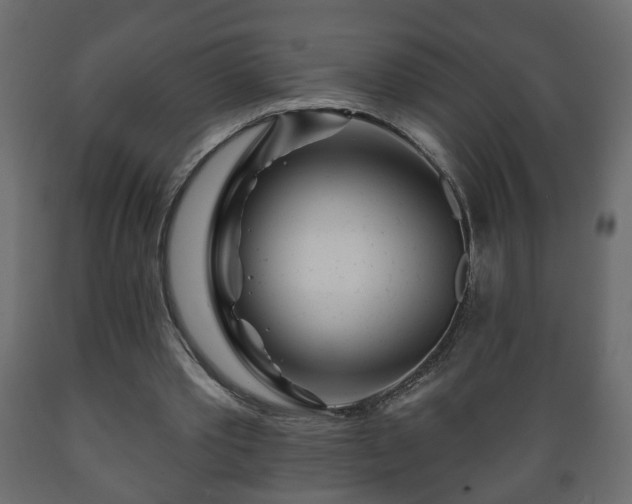 X0000089910389200707061003