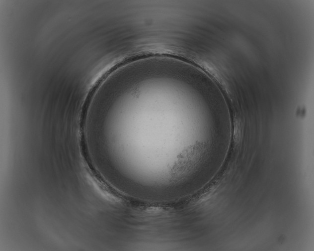 X0000089910390200707061003