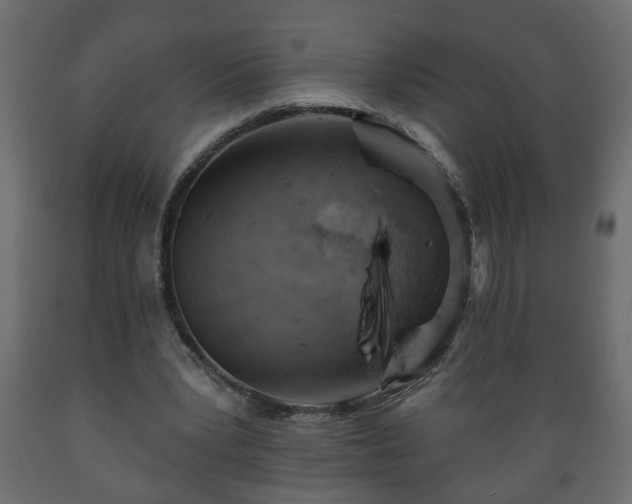 X0000089910391200707061003