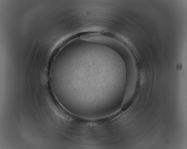X0000089910392200707061003