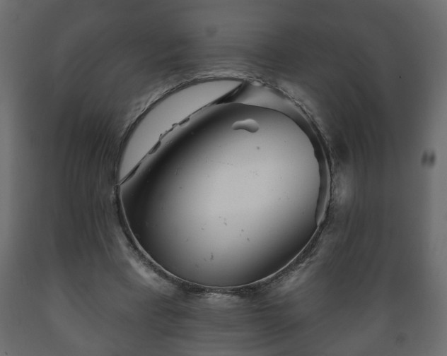 X0000089910393200707061003