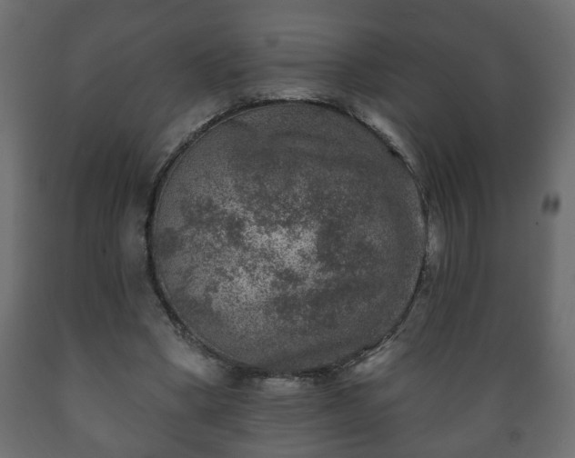 X0000089910394200707061003
