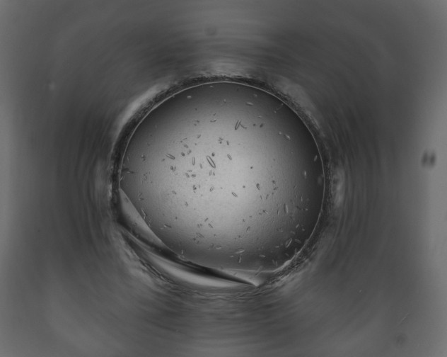 X0000089910395200707061003