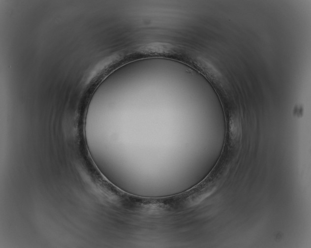 X0000089910396200707061003