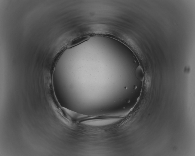 X0000089910397200707061003