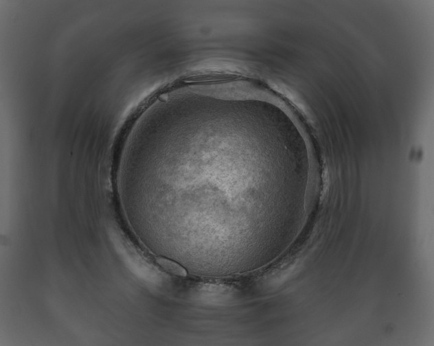 X0000089910399200707061003