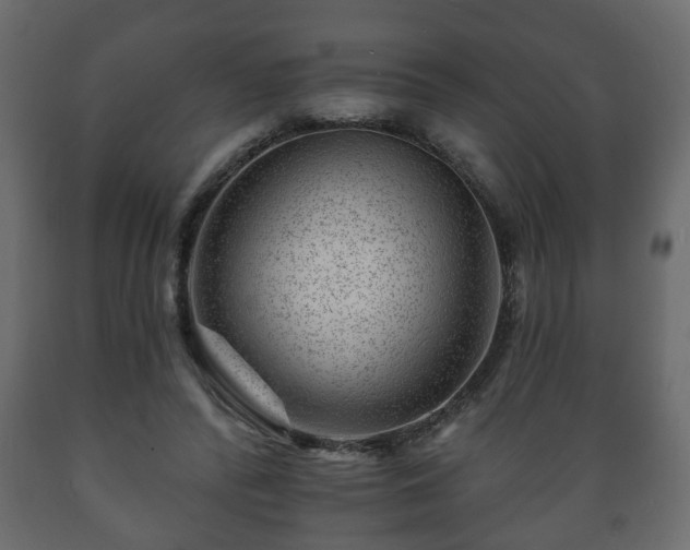 X0000089910400200707061003