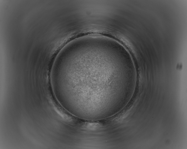X0000089910401200707061003
