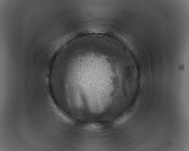 X0000089910402200707061003