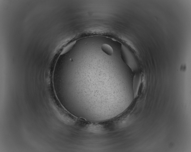 X0000089910403200707061003