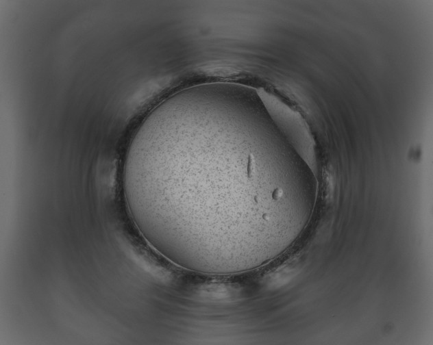 X0000089910404200707061003