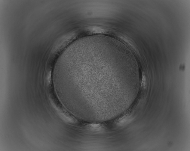 X0000089910406200707061003