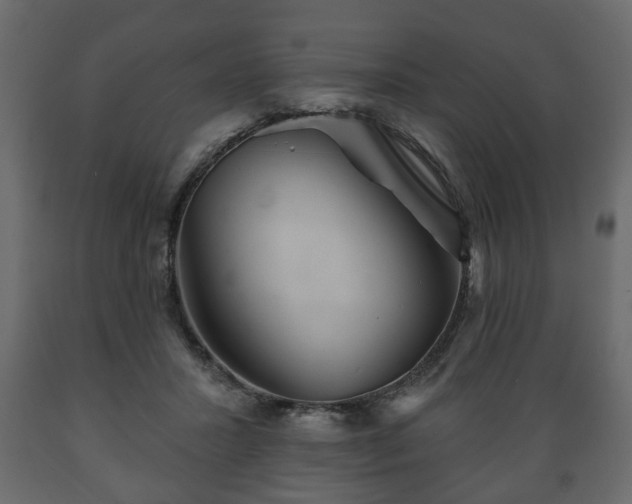 X0000089910407200707061003