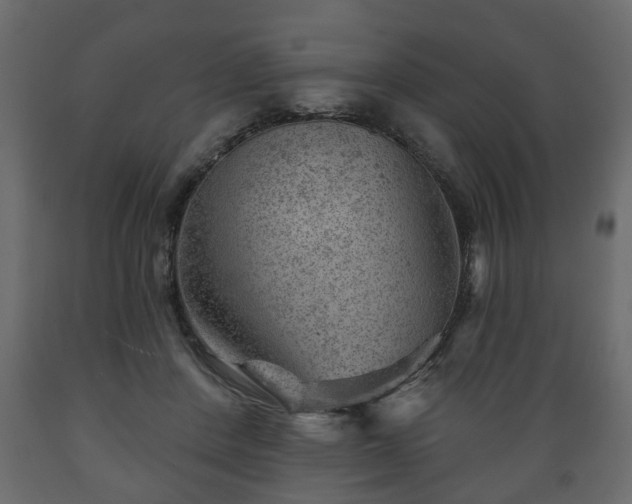 X0000089910408200707061003