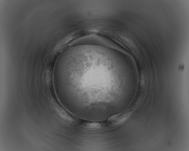 X0000089910409200707061003