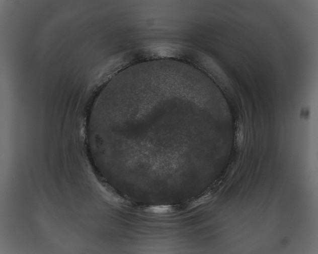 X0000089910410200707061003