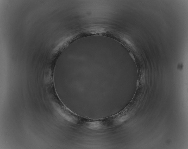 X0000089910411200707061003