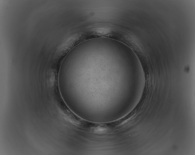 X0000089910412200707061003