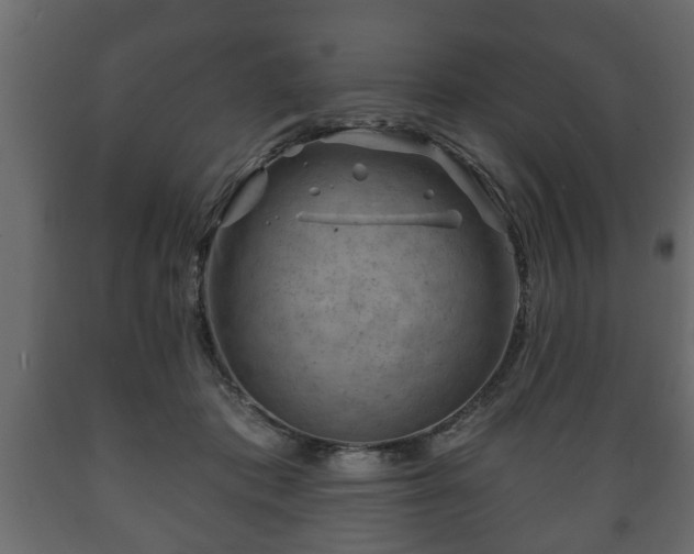 X0000089910413200707061003
