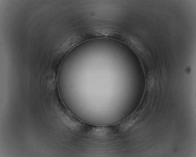 X0000089910414200707061003
