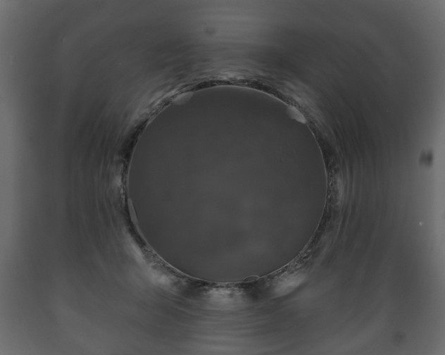 X0000089910415200707061003