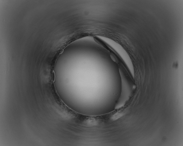 X0000089910416200707061003