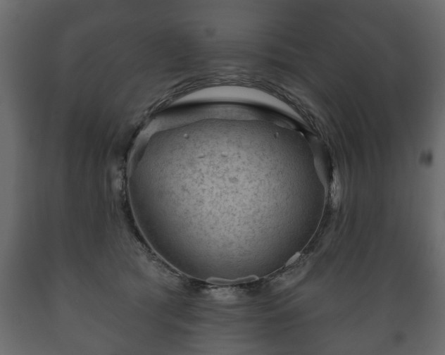 X0000089910417200707061003