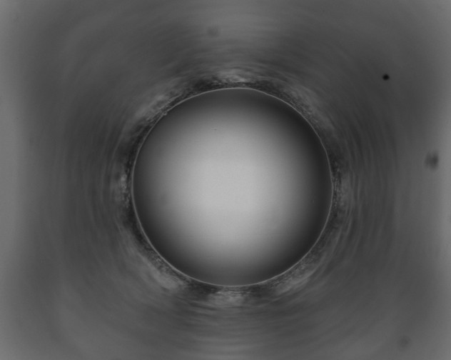 X0000089910418200707061003