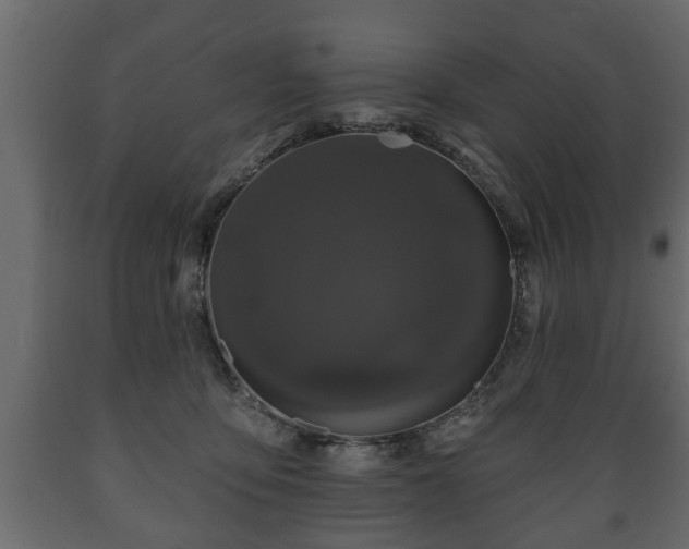 X0000089910419200707061003