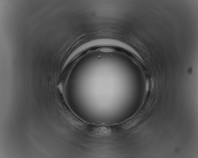 X0000089910421200707061003