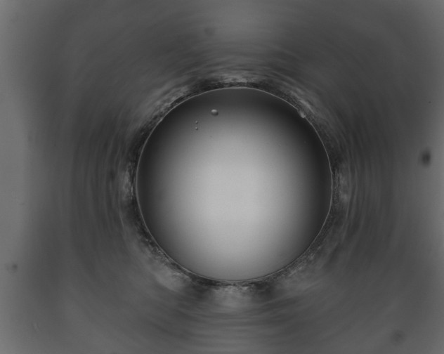 X0000089910422200707061003