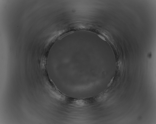X0000089910423200707061003