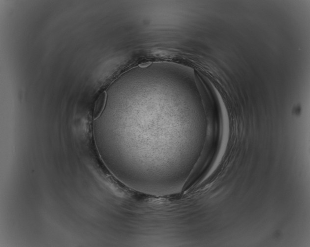 X0000089910424200707061003