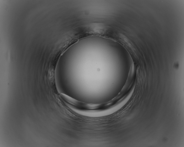 X0000089910425200707061003