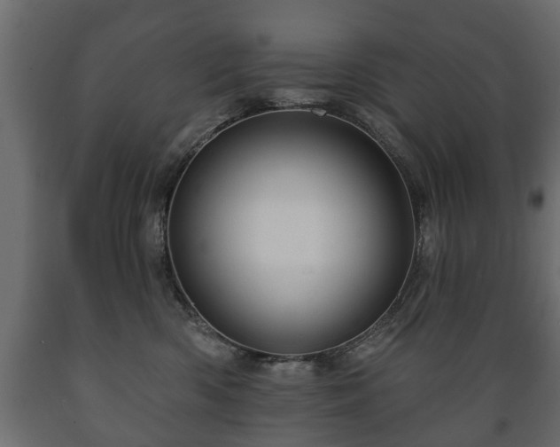 X0000089910426200707061003