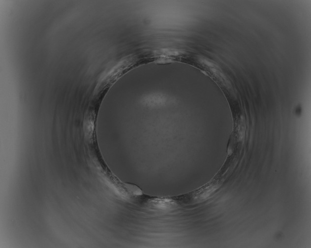 X0000089910427200707061003