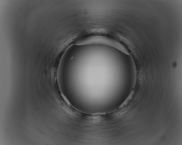 X0000089910428200707061003