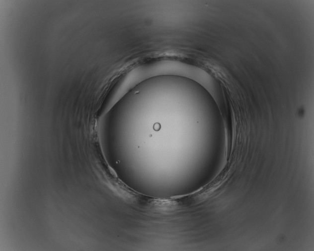 X0000089910429200707061002