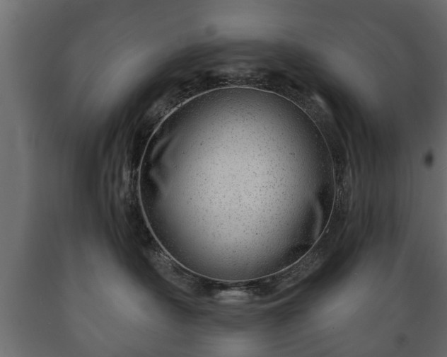 X0000089910430200707061002