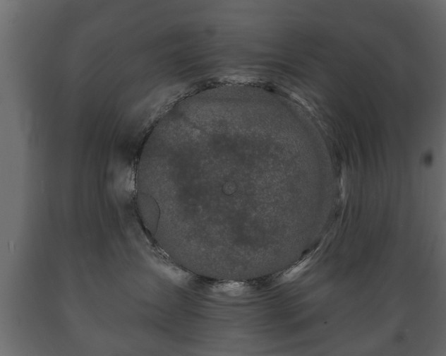X0000089910431200707061002