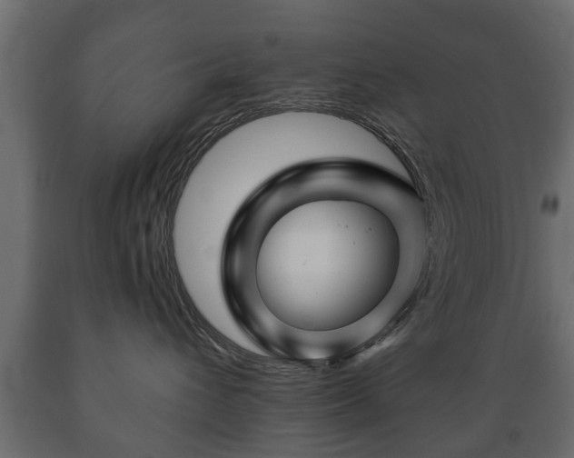 X0000089910432200707061002