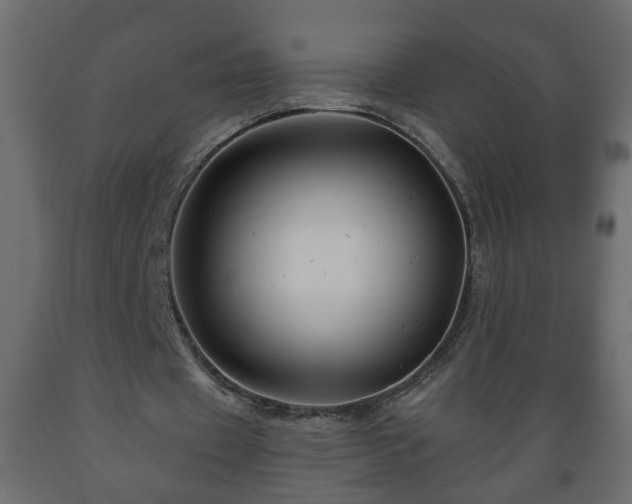 X0000089910433200707061002