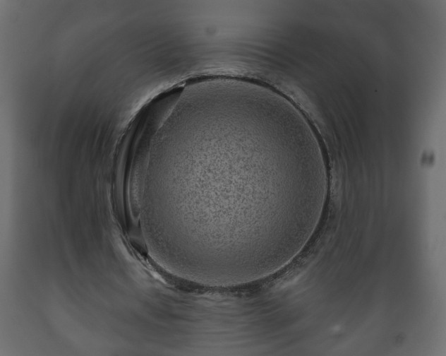 X0000089910434200707061002