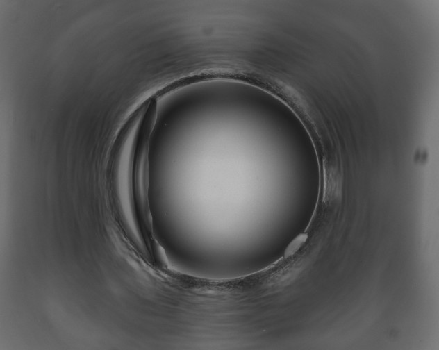 X0000089910435200707061002