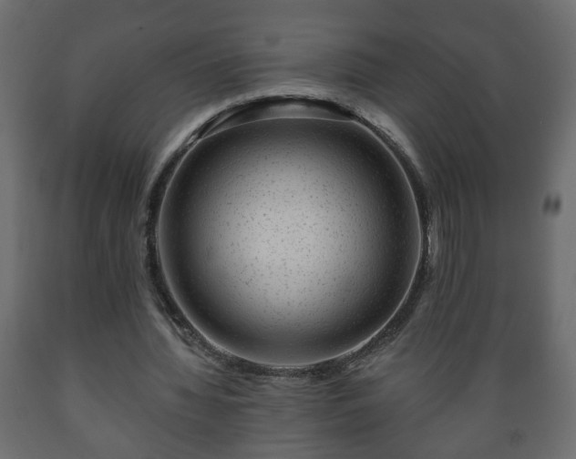 X0000089910436200707061002