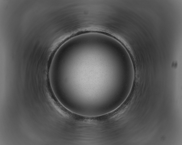 X0000089910437200707061002