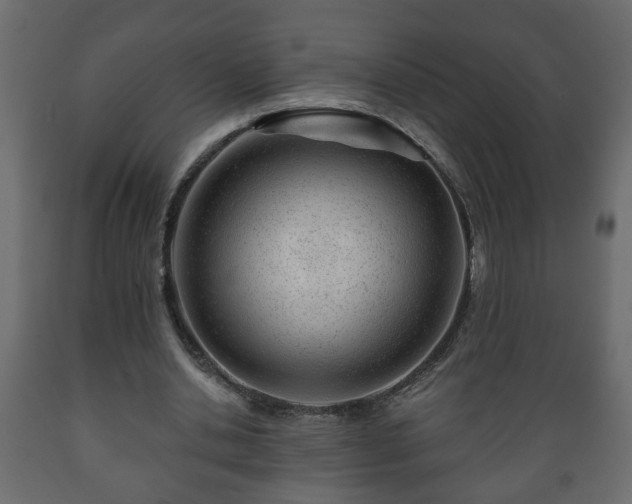 X0000089910438200707061002