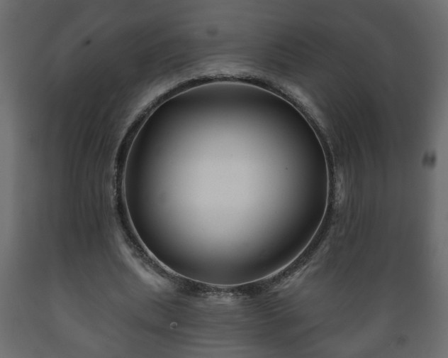 X0000089910439200707061002