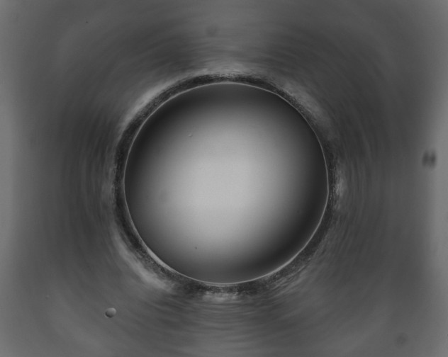 X0000089910440200707061002